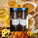 Adelite-bee-honey